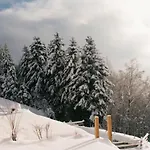 Prázdninový dům Spacieux, Confort Moderne, 8 Pers, Terrasse Privative, Animaux Admis, Wifi - Fr-1-589-227 Vagney