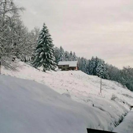 Hébergement de vacances Vagney, 5 Pièces, 8 Personnes - Fr-1-589-227 *