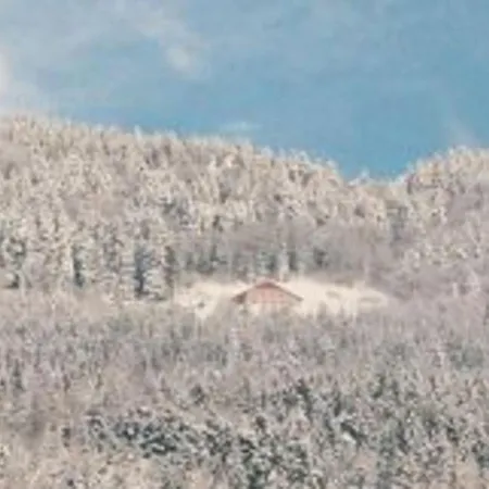 Hébergement de vacances Vagney, 5 Pièces, 8 Personnes - Fr-1-589-227 *