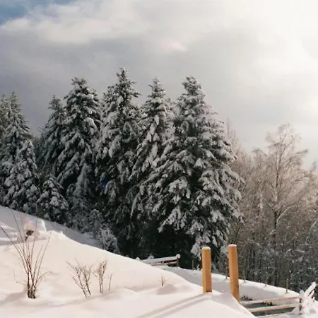 Hébergement de vacances Vagney, 5 Pièces, 8 Personnes - Fr-1-589-227 Vagney