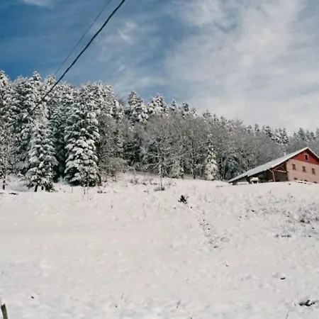 Spacieux, Confort Moderne, 8 Pers, Terrasse Privative, Animaux Admis, Wifi - Fr-1-589-227 *