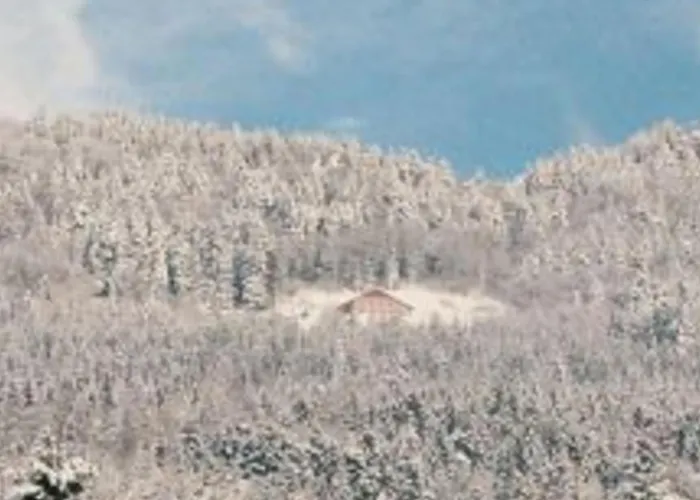 Prázdninový dům Spacieux, Confort Moderne, 8 Pers, Terrasse Privative, Animaux Admis, Wifi - Fr-1-589-227 *