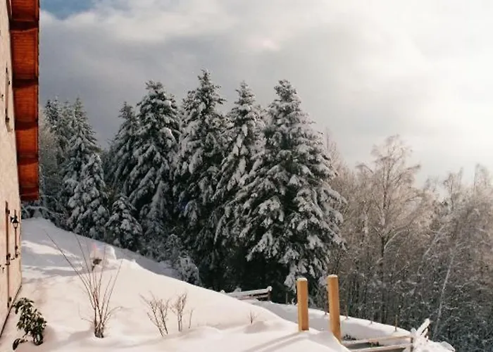 Prázdninový dům Spacieux, Confort Moderne, 8 Pers, Terrasse Privative, Animaux Admis, Wifi - Fr-1-589-227 Vagney